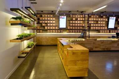 Best Dispensaries in San Francisco: Sparc