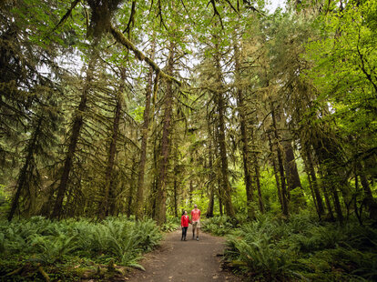 Couple hiking through the forest of Olympic National Park in Washington
