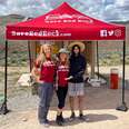 Volunteer Opportunities in Las Vegas: Save Red Rock