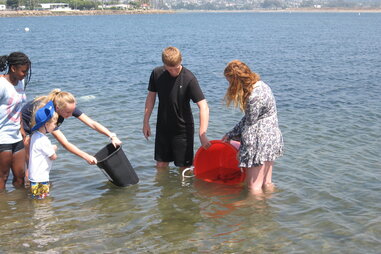 Volunteer Opportunities in San Diego: Environmental Center of San Diego
