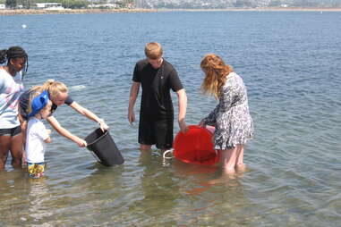 Volunteer Opportunities in San Diego: Environmental Center of San Diego