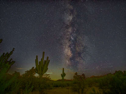 Low angle view of trees against sky at night, Pinal County, Arizona