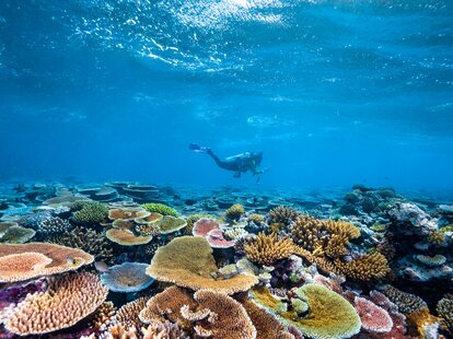 An underwater photo of the Great Barrier Reef.