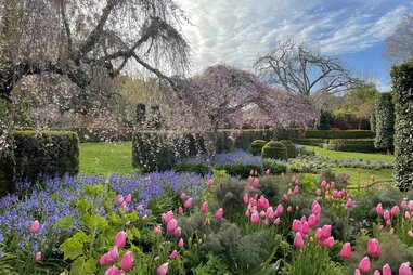 gardens near me walled garden filoli