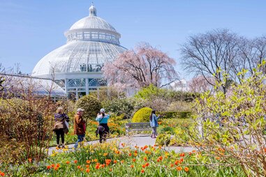 botanical gardens new york