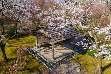 missouri botanical gardens st louis