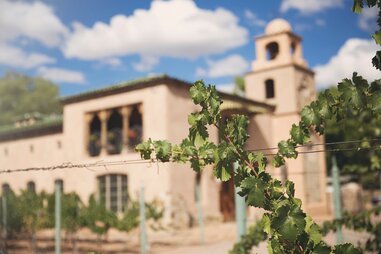 a vineyard in new mexico with spanish architecture