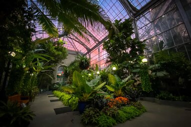 botanic garden washington dc cherry blossom