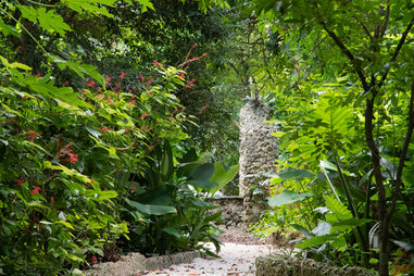 native plants best botanical gardens in the usa