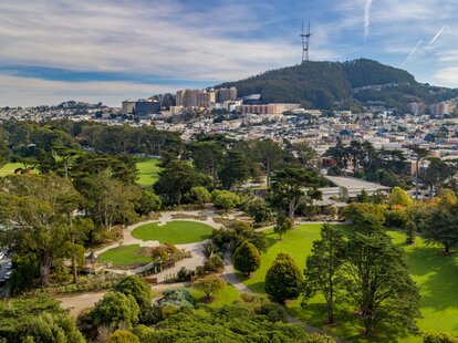 united states botanic garden plants from around the world