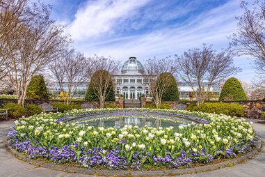 united states botanic garden