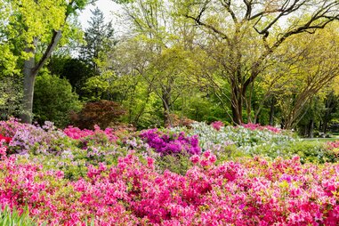 most beautiful botanical gardens in the us