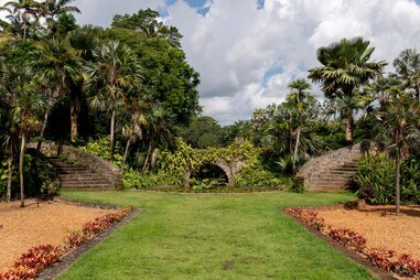 plants from around the world