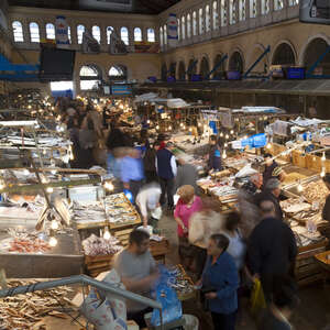 Inside a fish Market at Athens Central Market in Athens, Greece