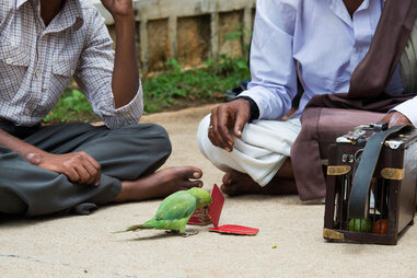 two men sit on the street while a parrot picks out cards