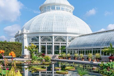 The tropical pool of the Enid A. Haupt Conservatory’s Courtyard