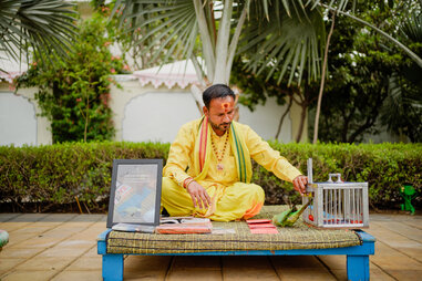 a man on an elevated platform with a parrot astrologer
