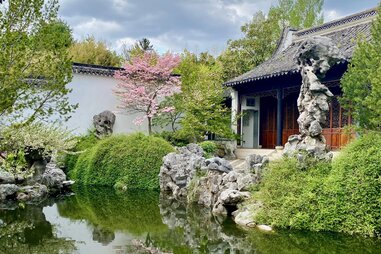 New York Chinese Scholar’s Garden at Snug Harbor Cultural Center and Botanical Garden