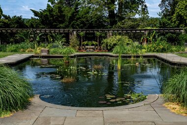 Aquatic and Monocot Gardens at Wave Hill in The Bronx