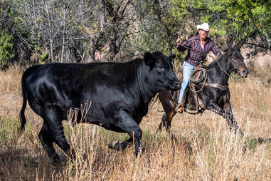 Roping skills can be practiced at TERRA