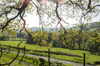 the ceiriog valley outdoor scene in north wales outside wrexham uk