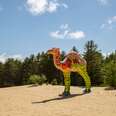 The Mysterious Desert in the Middle of Maine That's Attracted Travelers for a Century