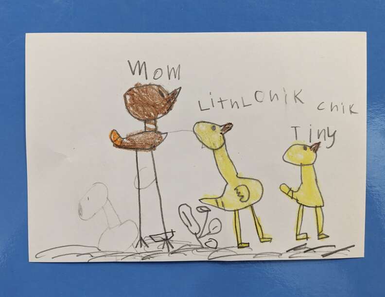 Child's drawing of two hawk chicks with a mama hawk