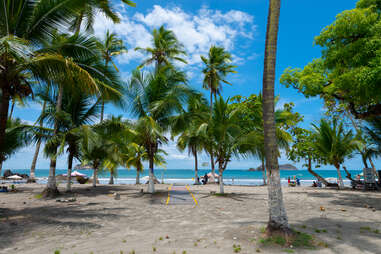 beach seen through palm trees in costa rica