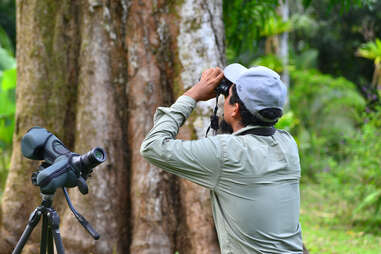 Naturalist guide spots birds with binoculars at Saladero Eco Lodge in Costa Rica’s Piedras National Park.