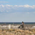 The new nature preserve along Queens' Rockaway Beach, Arverne East