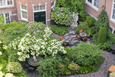 The view of the gardens at The Grand Amsterdam