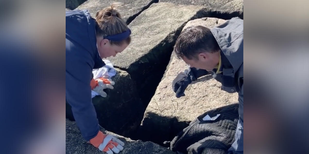 Rescuers Look Between Cracks In Rock And See A Little Face Staring Up ...