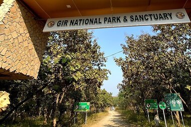 gir national park entrance gate
