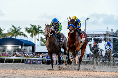 Pegasus World Cup