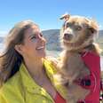 Rescue Dog And Her Mom Love Hiking Together