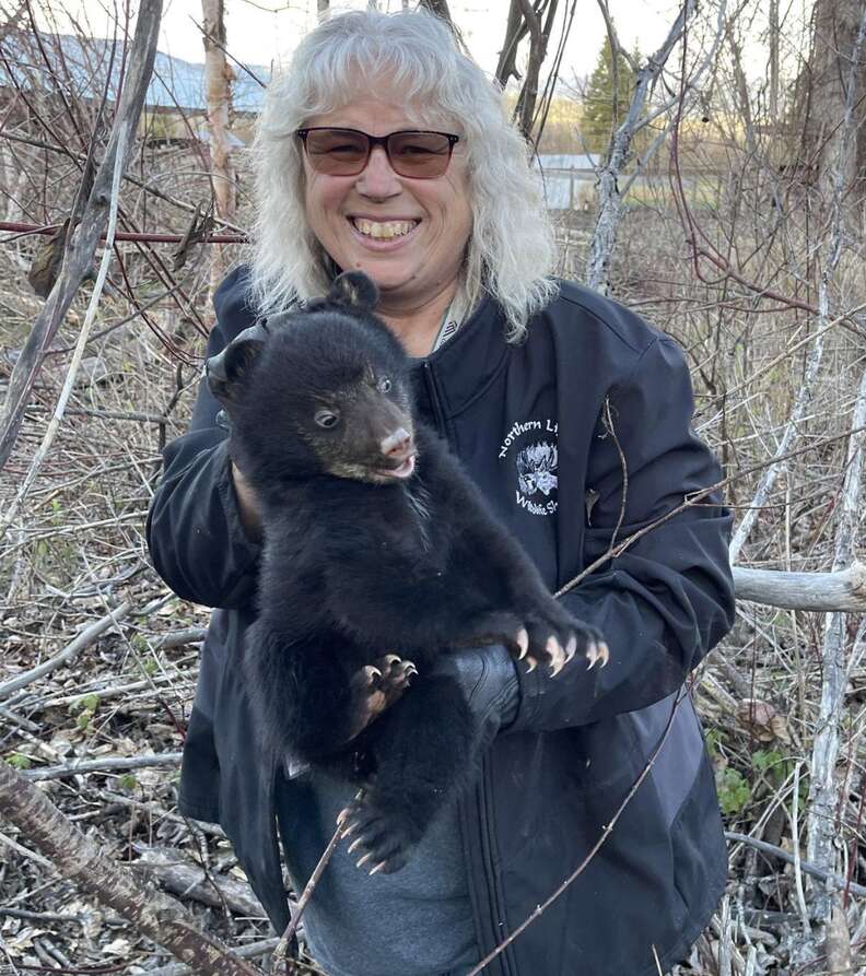 Person holding small black bear cub