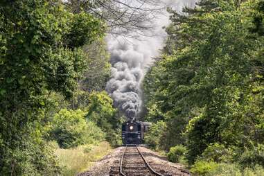 A Smoky Mountains Railway locomotive traveling through forest