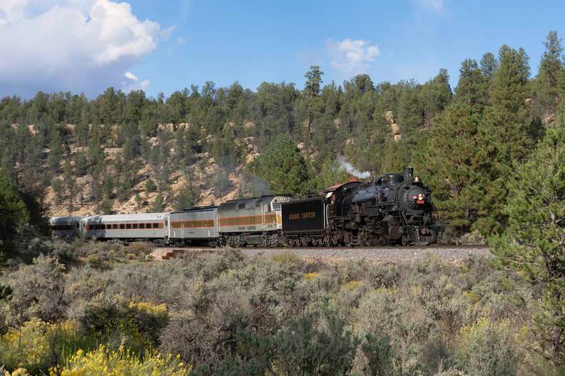 Grand Canyon Railway going through forest with blue sky above 