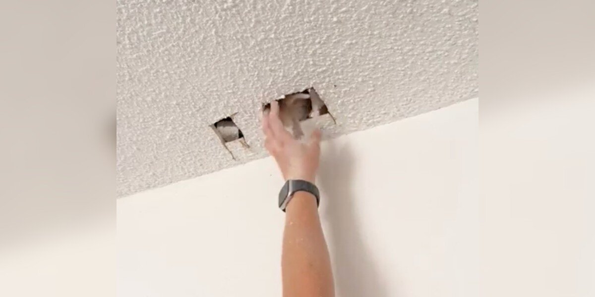 Loud Cries Coming From Ceiling End Up Belonging To The Teeniest Baby ...