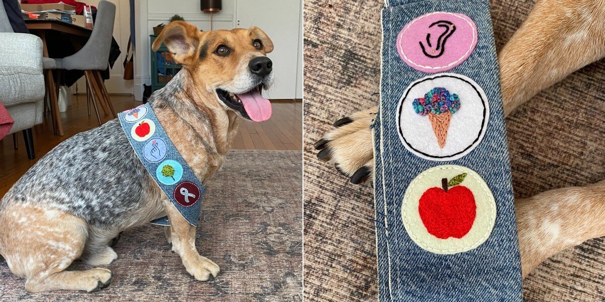 Proud Rescue Dog Earns Yet Another Merit Badge For His Good Deeds - The ...