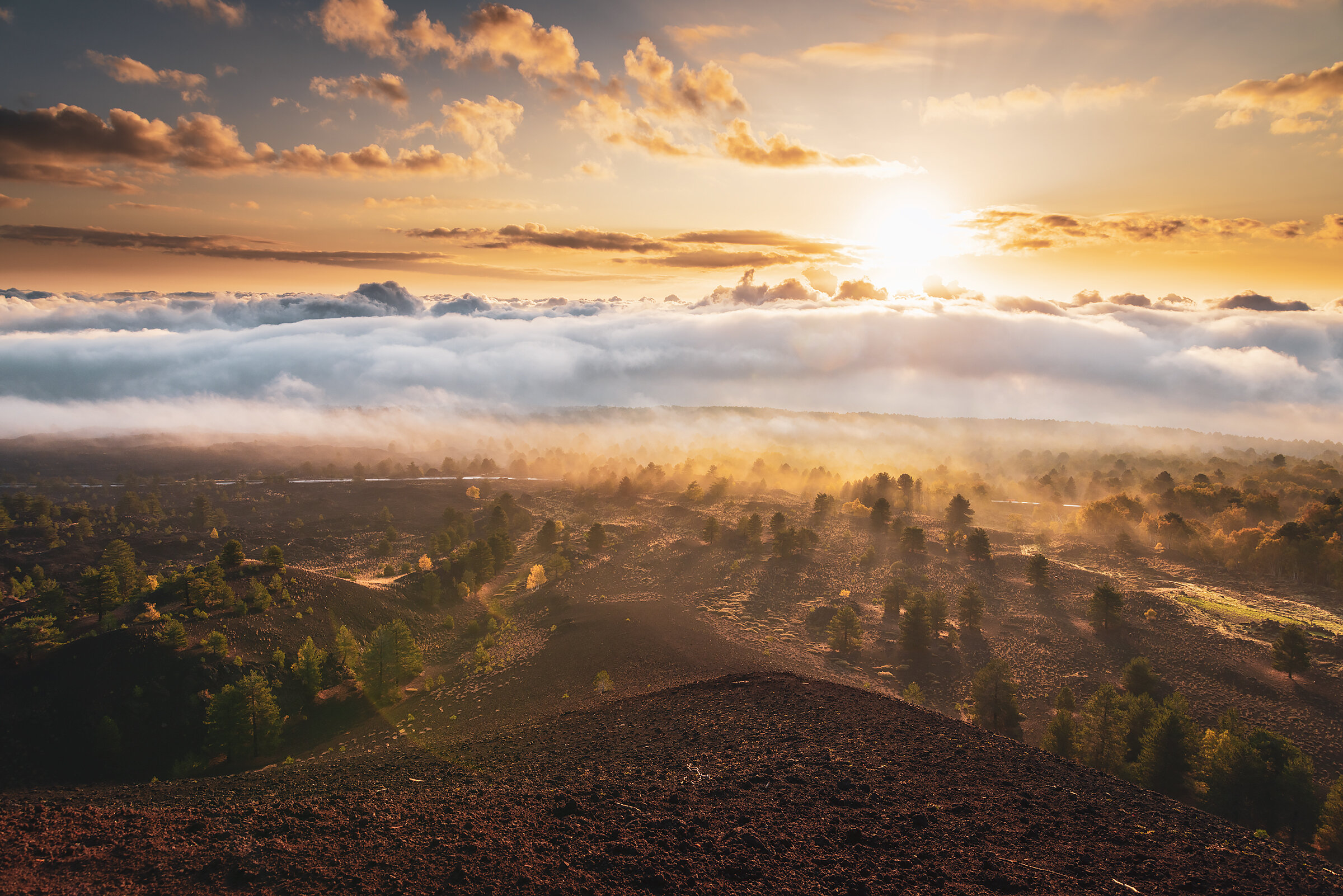 This Hidden Sicilian Town Runs on Pistachios