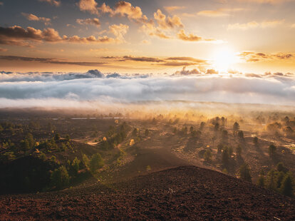 bronte italy sunset haze pistachio fields