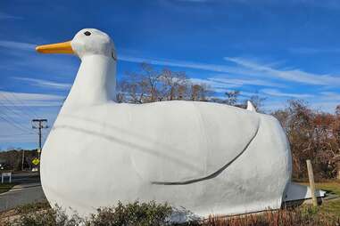 a large white duck the size of a house on the side of a road in New York