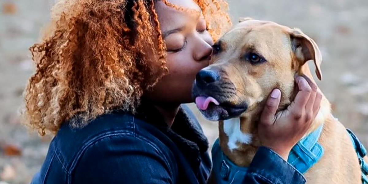 People Kept Asking Woman If Her Pittie Was A Killer - Videos - The Dodo