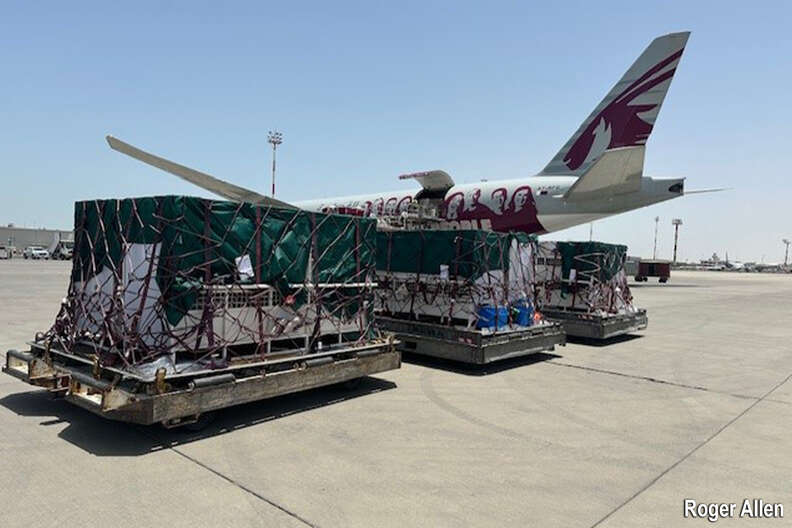 lions kept as pets fly to south africa