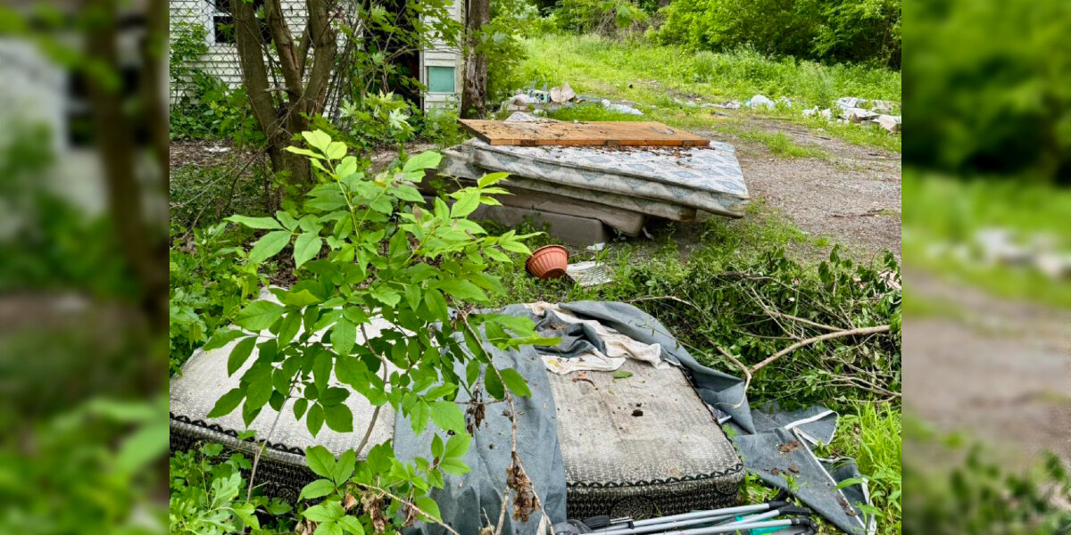 Puppies Abandoned On Thrown-Out Mattress Never Left Each Other's Side