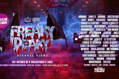 A post for the Freaky Deaky EDM festival, including the lineup. 