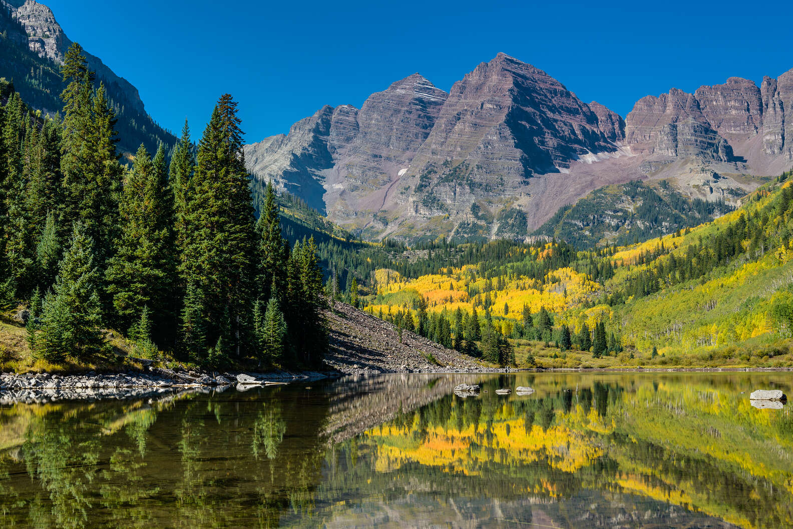 What Is a National Forest? Best National Forests to Visit in the US ...