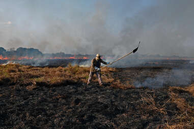 fires in the Pantanal, Brazil