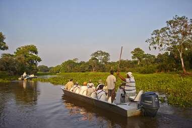 Jaguar tourism in the Pantanal